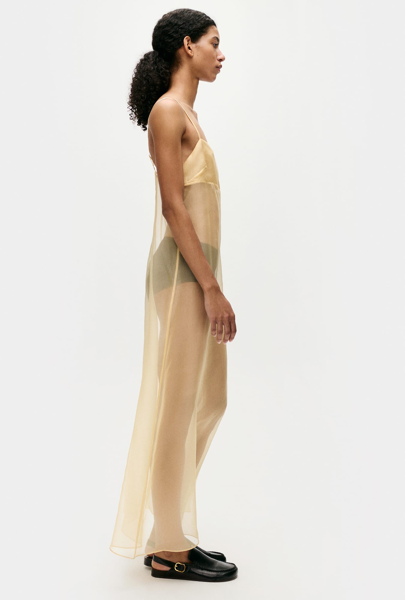 Organza A-Line Dress Beige