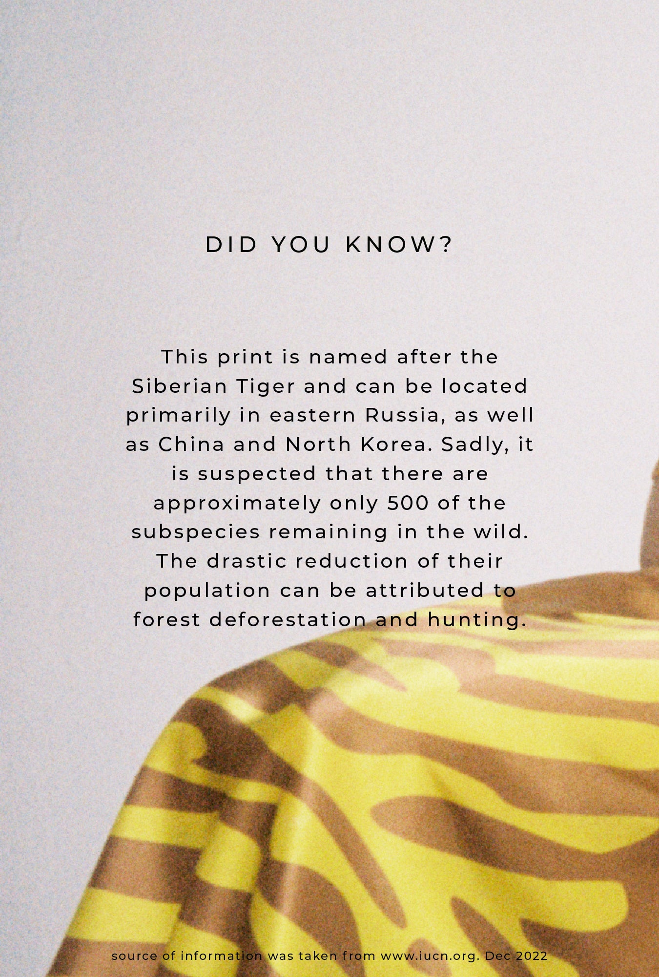 Straight Neck Cami Tiger Matisse